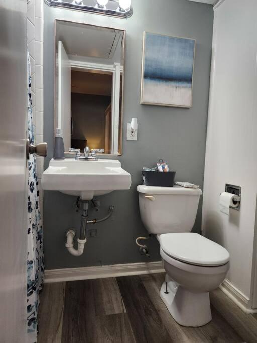 Blue Shark *W7* @ Montrose 1Br Private King Loft Apartment Хюстън Екстериор снимка